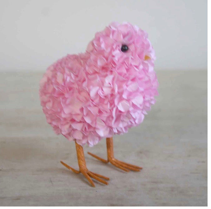 Hydrangea chick