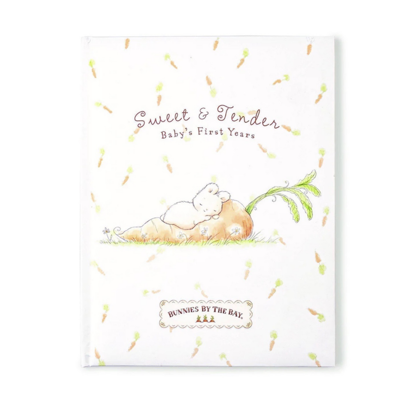 Sweet and Tender Babys First Years Book