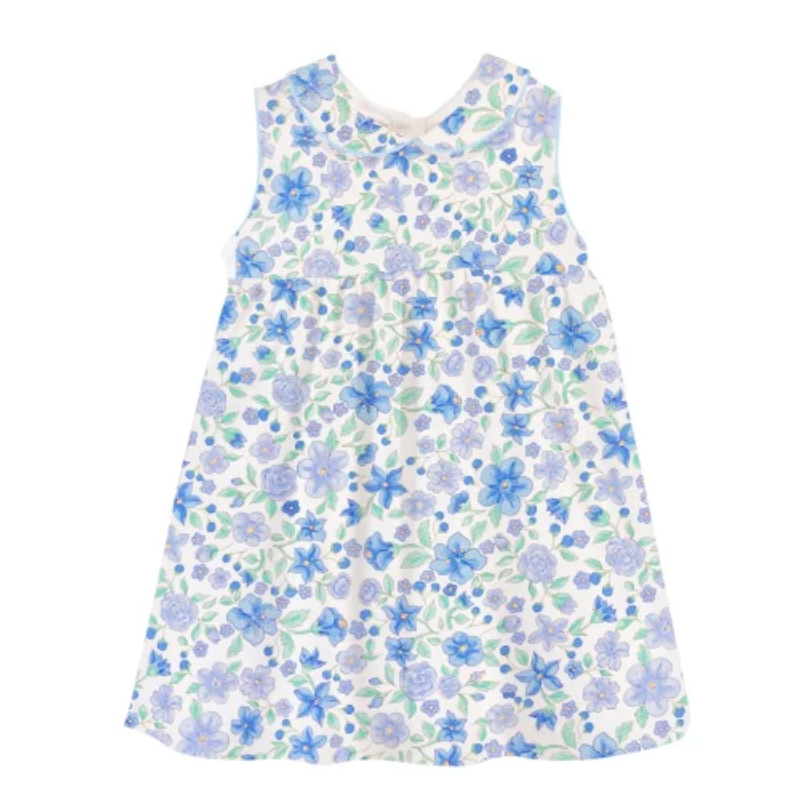 Blue Floral Dress with Collar