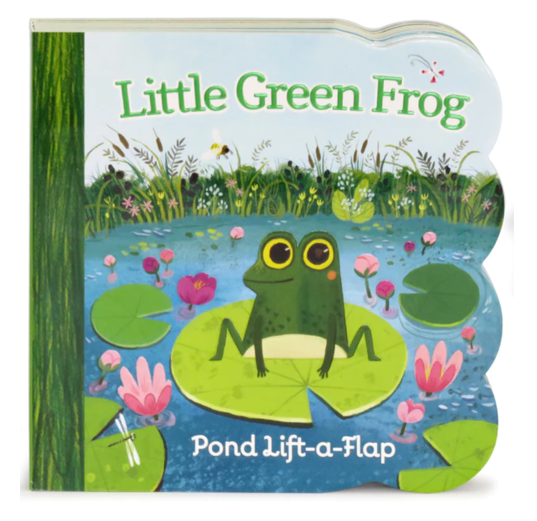 Little Green Frog - Board Book
