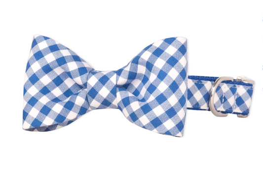 Blue and White Check Bow Tie Dog Collar