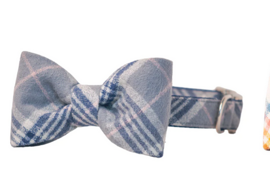 Blue and White Dog Collar