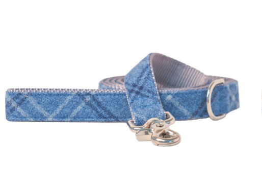 Blue and White Dog Leash