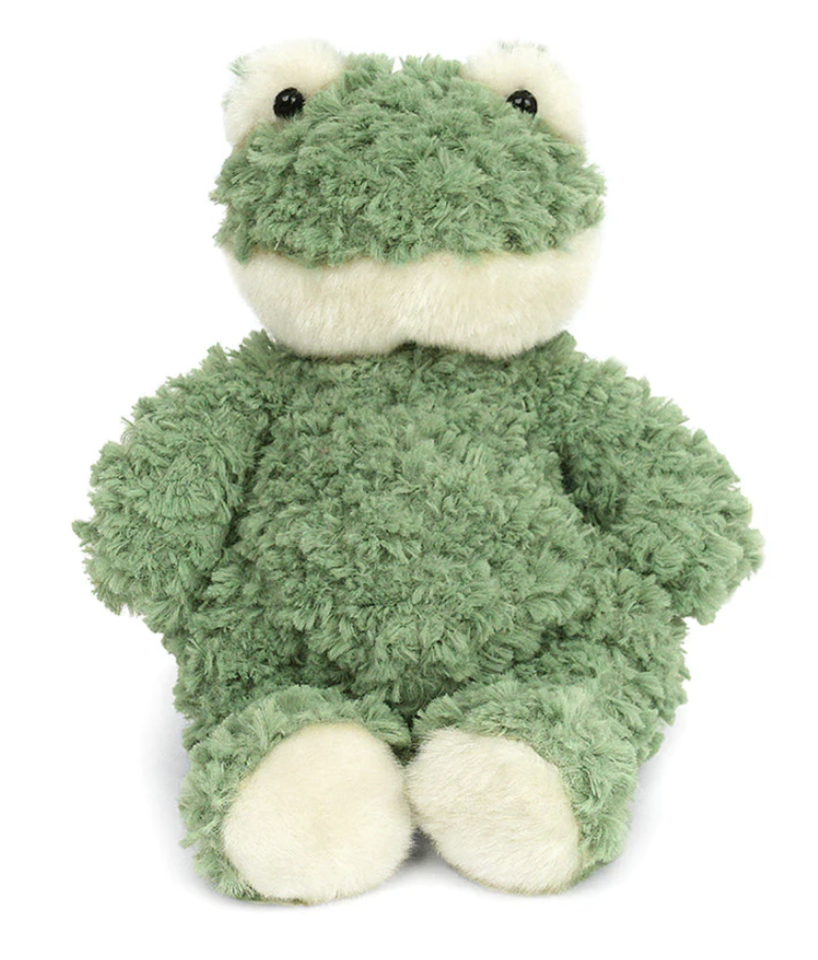 Friendly Frog