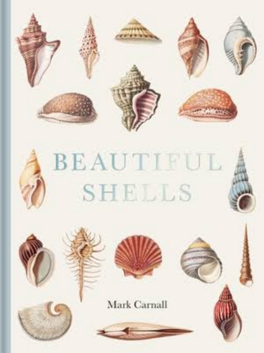 Beautiful Shells Book