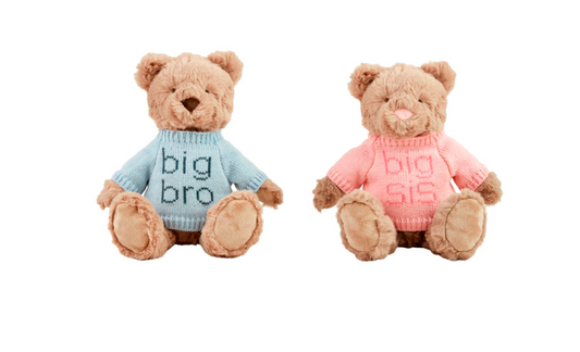 Big Bro - Big Sis - Teddy Bear