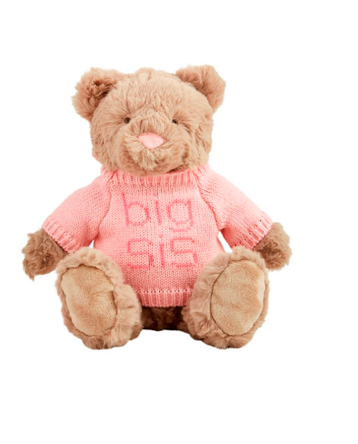 Big Bro - Big Sis - Teddy Bear