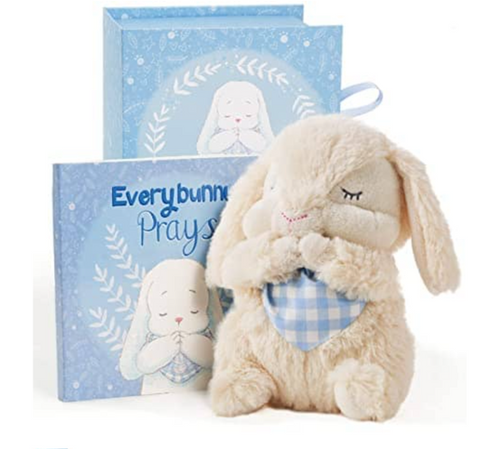 Every Bunny Prays Blue Gingham Bunny and Book Gift Set