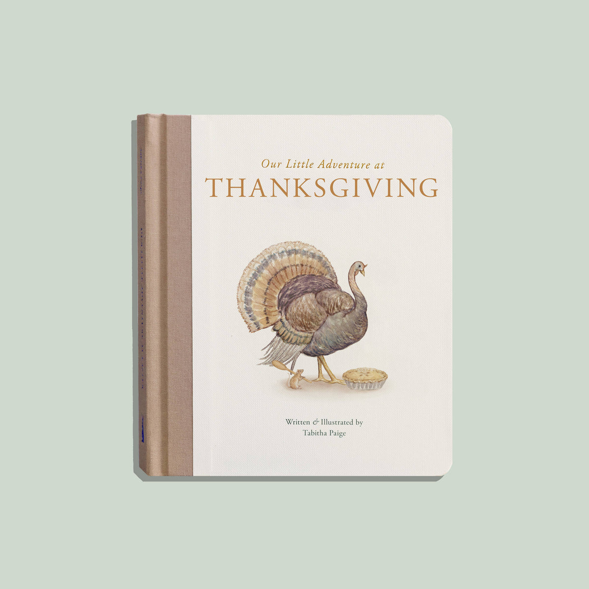Our Little Adventure at Thanksgiving - Book