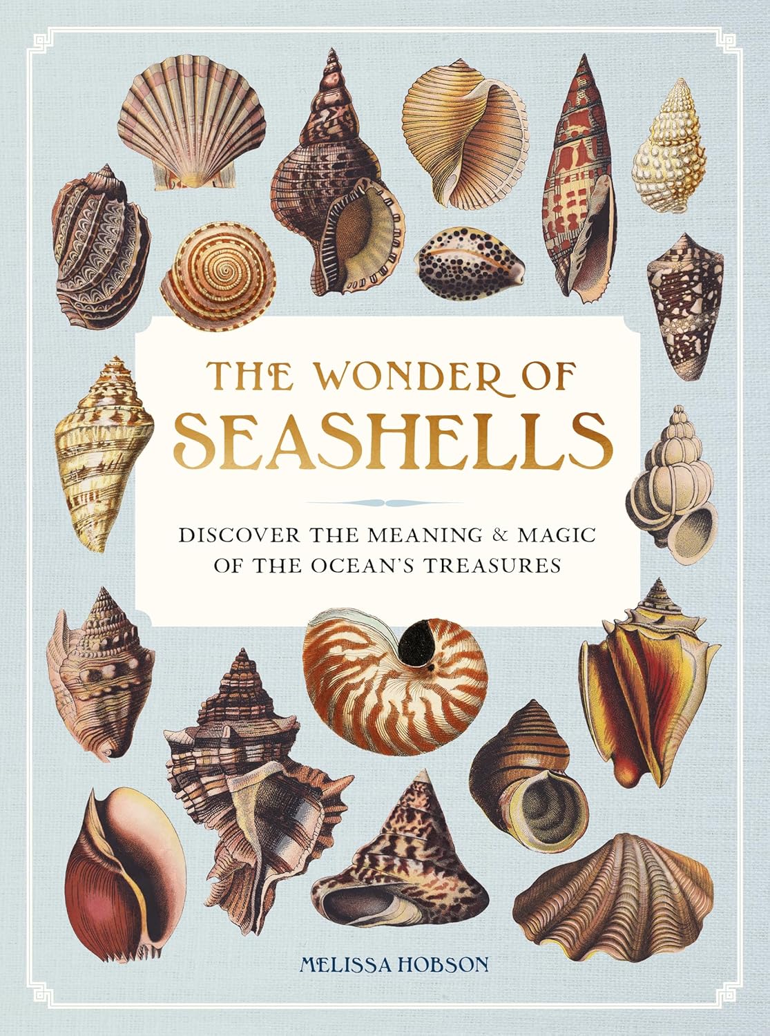 The Wonder of Seashells - Book