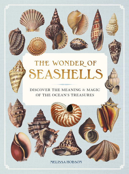 The Wonder of Seashells - Book