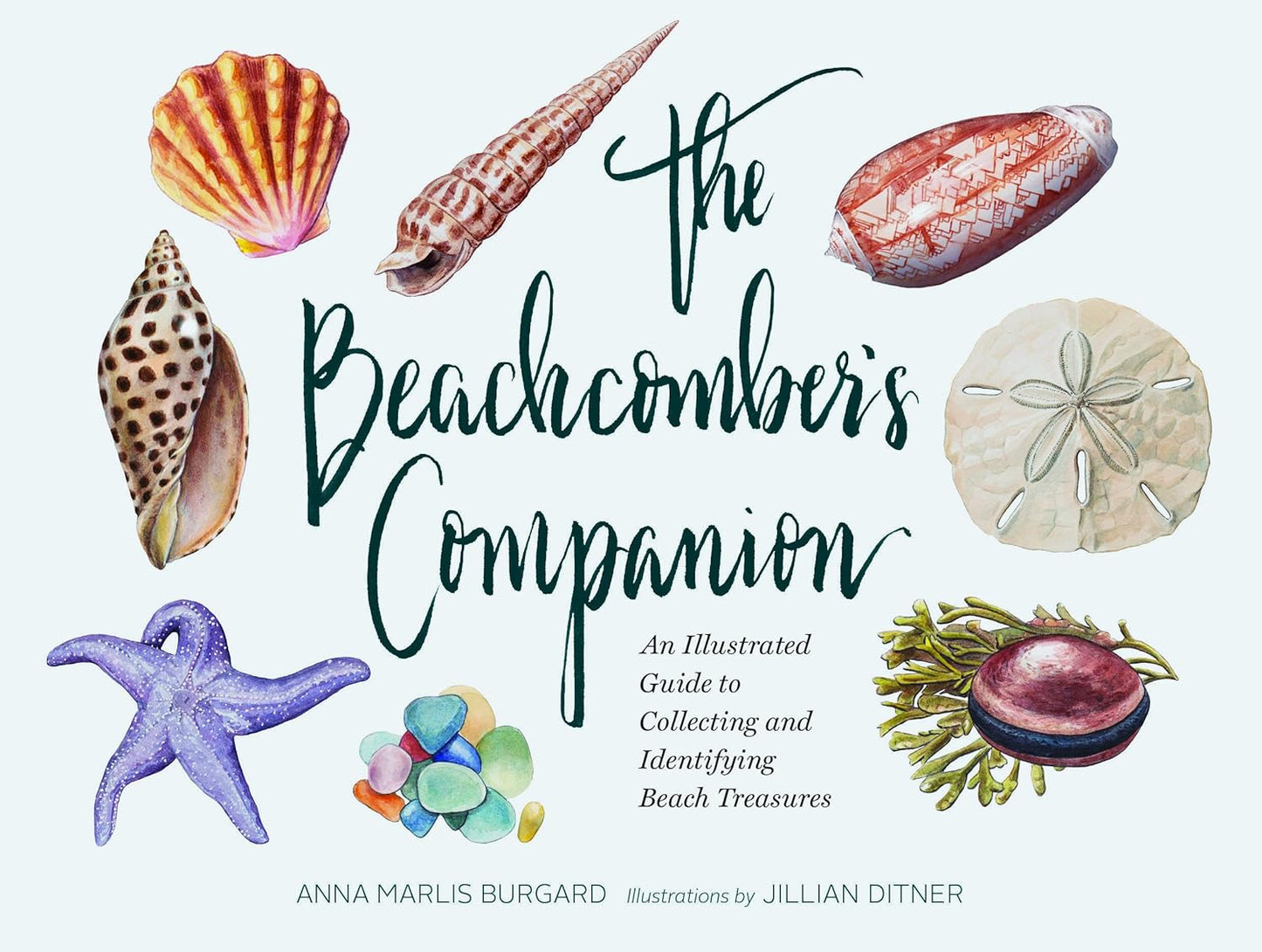 The Beachcomber's Companion - Book