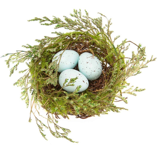 Blue eggs in nest