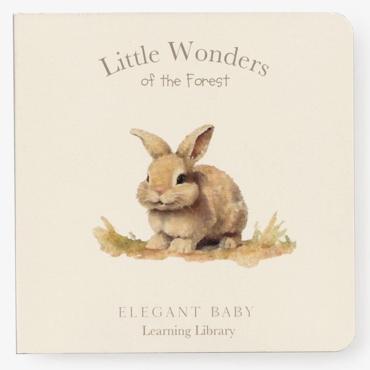 Little Wonders of the Forest - Board Book