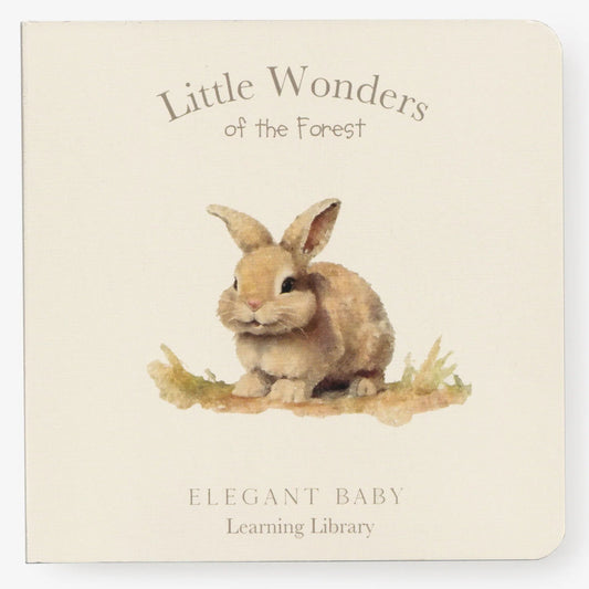 Little Wonders of the Forest - Board Book