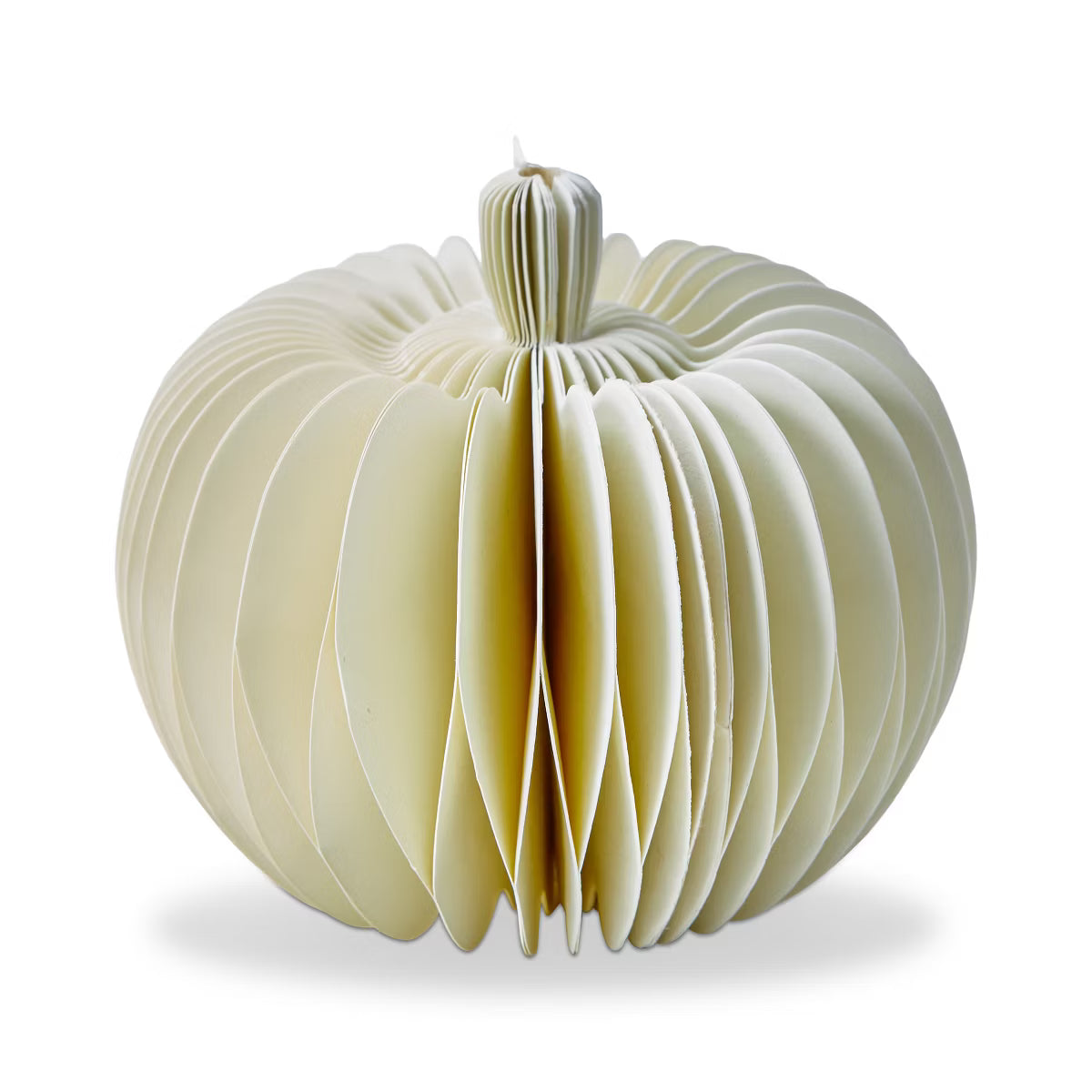 Small White Accordion Pumpkin