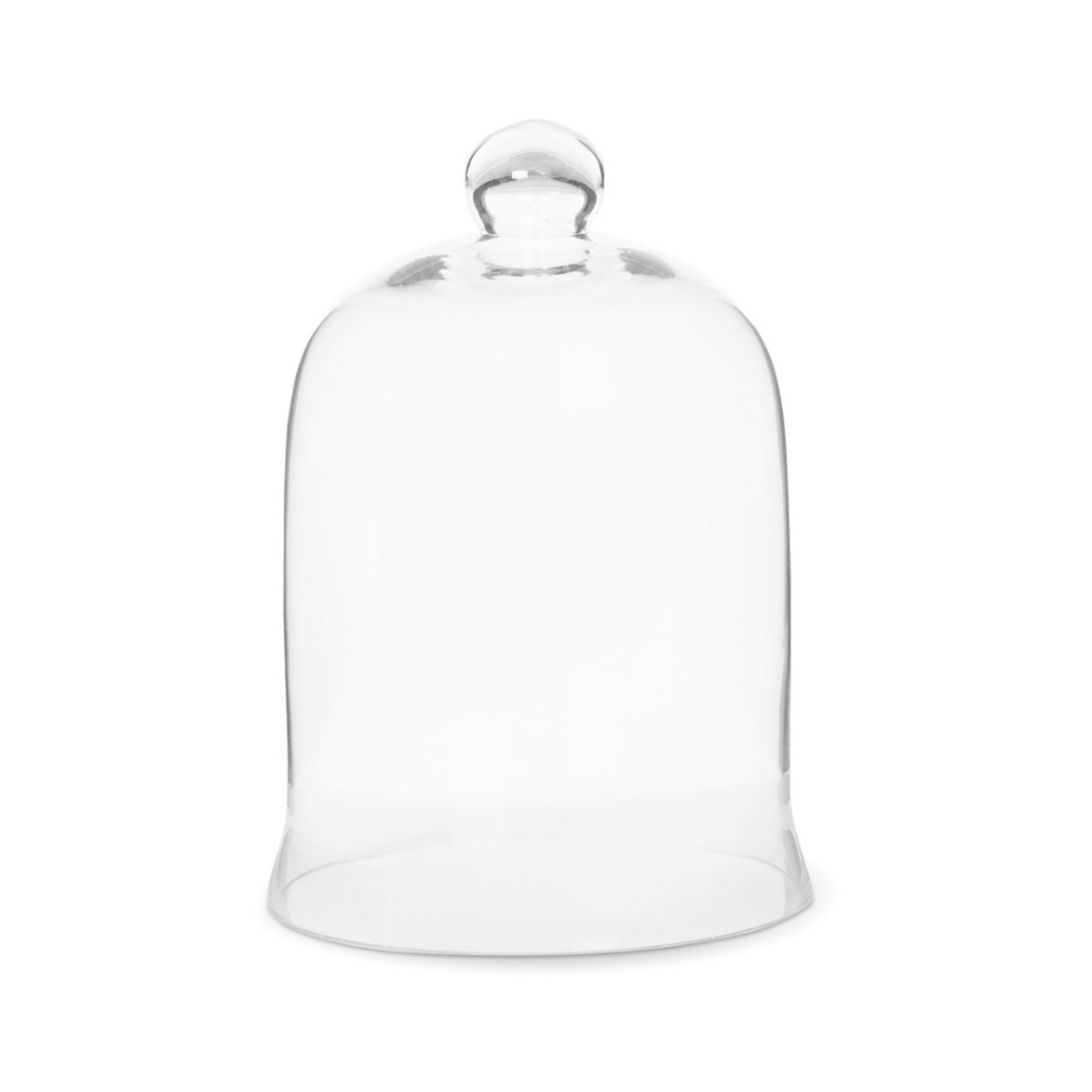 Glass Bell Jar