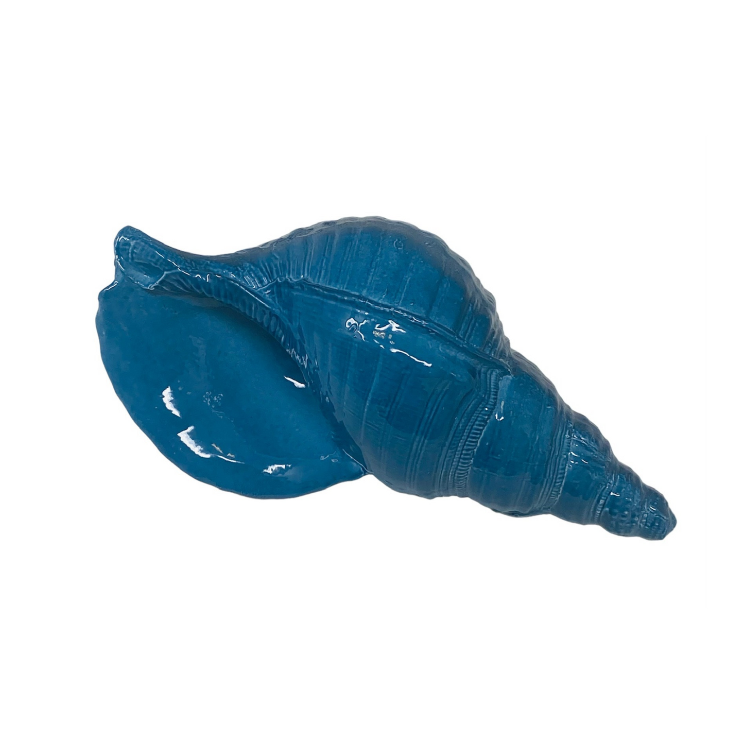 Blue Ceramic Shell