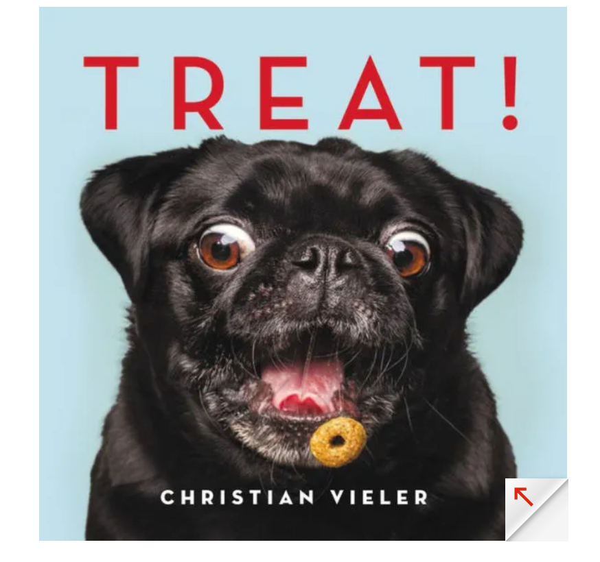 Treat Dog Book by Christian Vieler