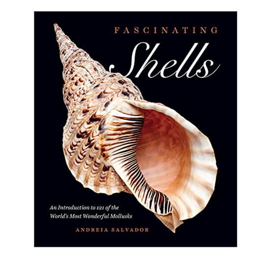 Fascinating Shells Book