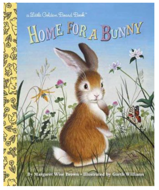 Home for a Bunny Board Book