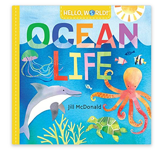 Ocean Life Book