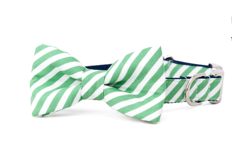 Green and White Stripe Dog Collar with Bow