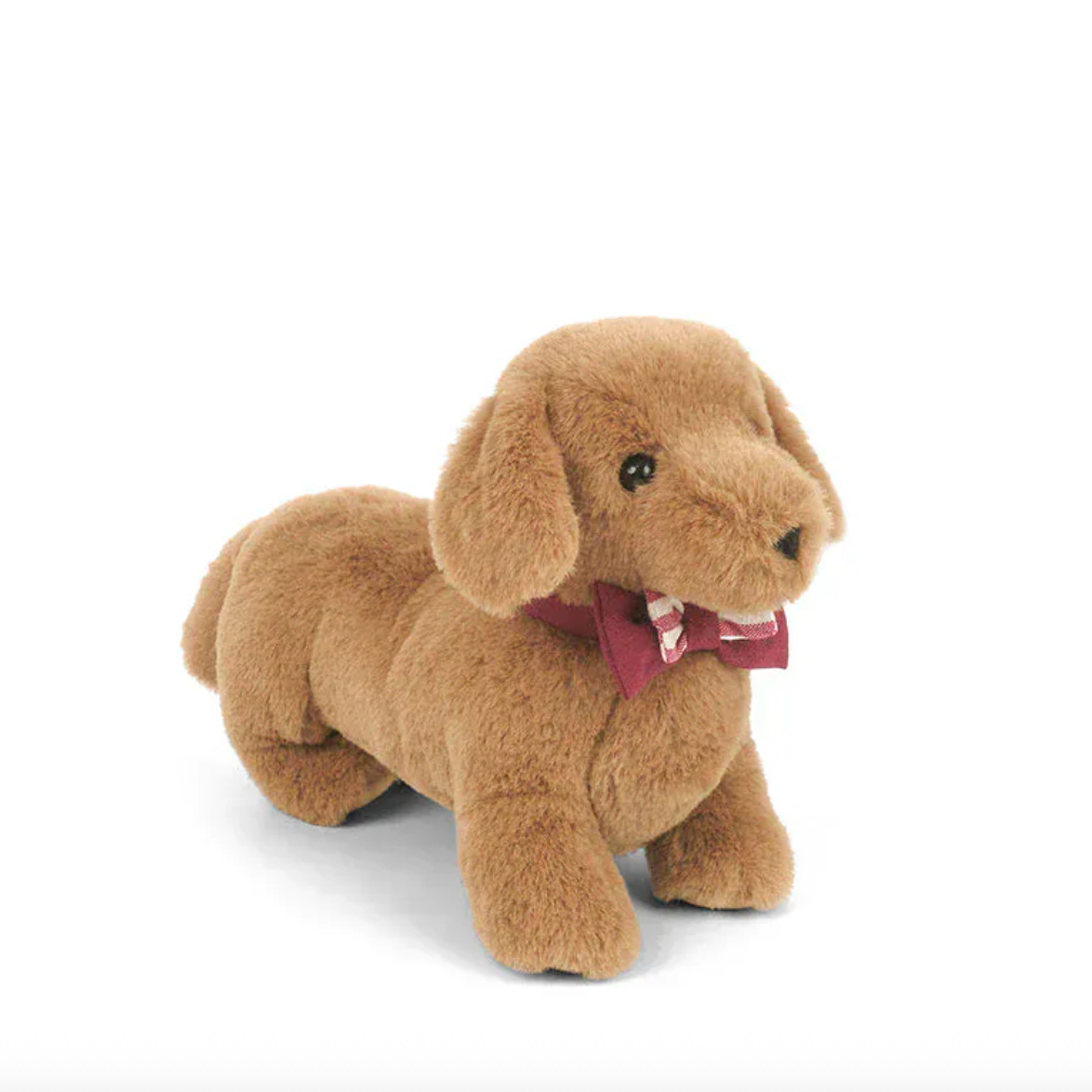 Mon Ami - Dapper Dachshund
