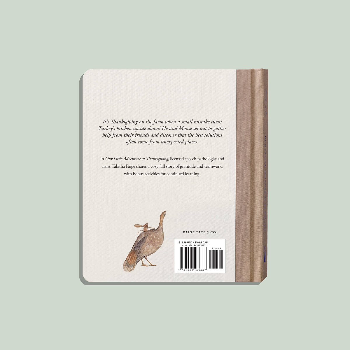 Our Little Adventure at Thanksgiving - Book