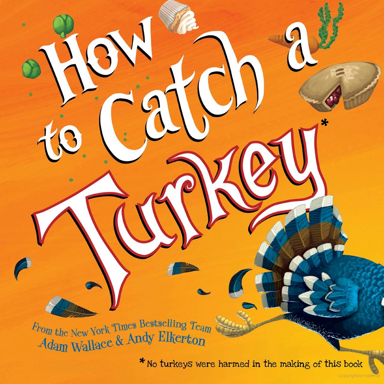 How to Catch a Turkey - Book