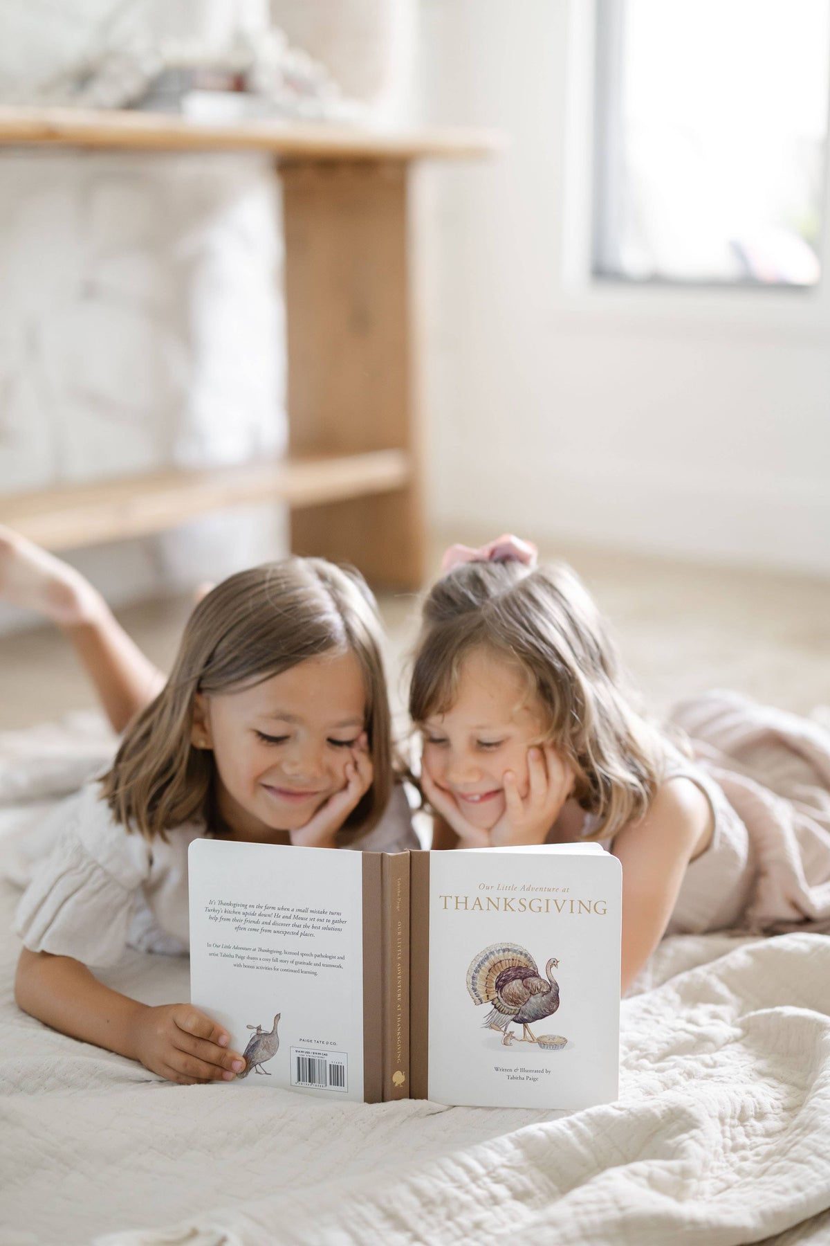 Our Little Adventure at Thanksgiving - Book
