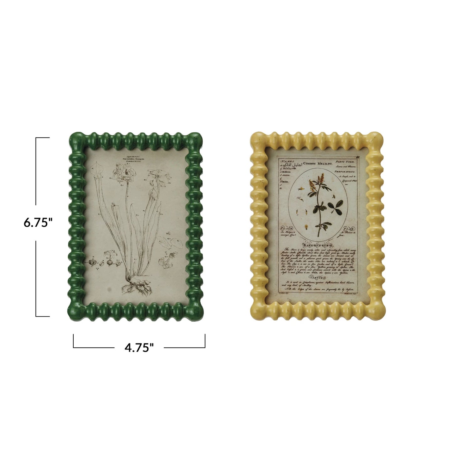 Green or Yellow Photo Frame 4x6