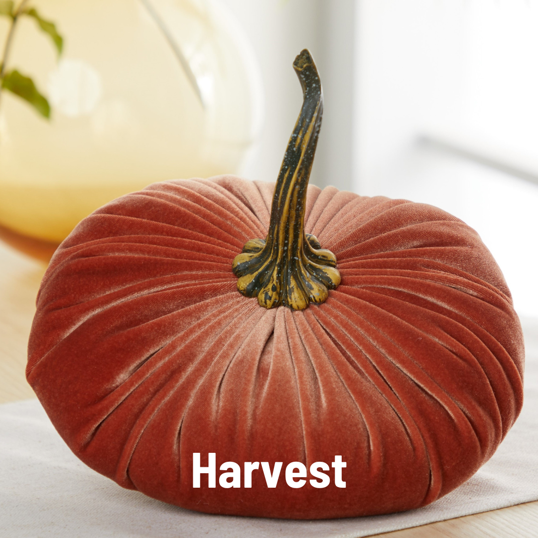 Extra Large Velvet Pumpkin
