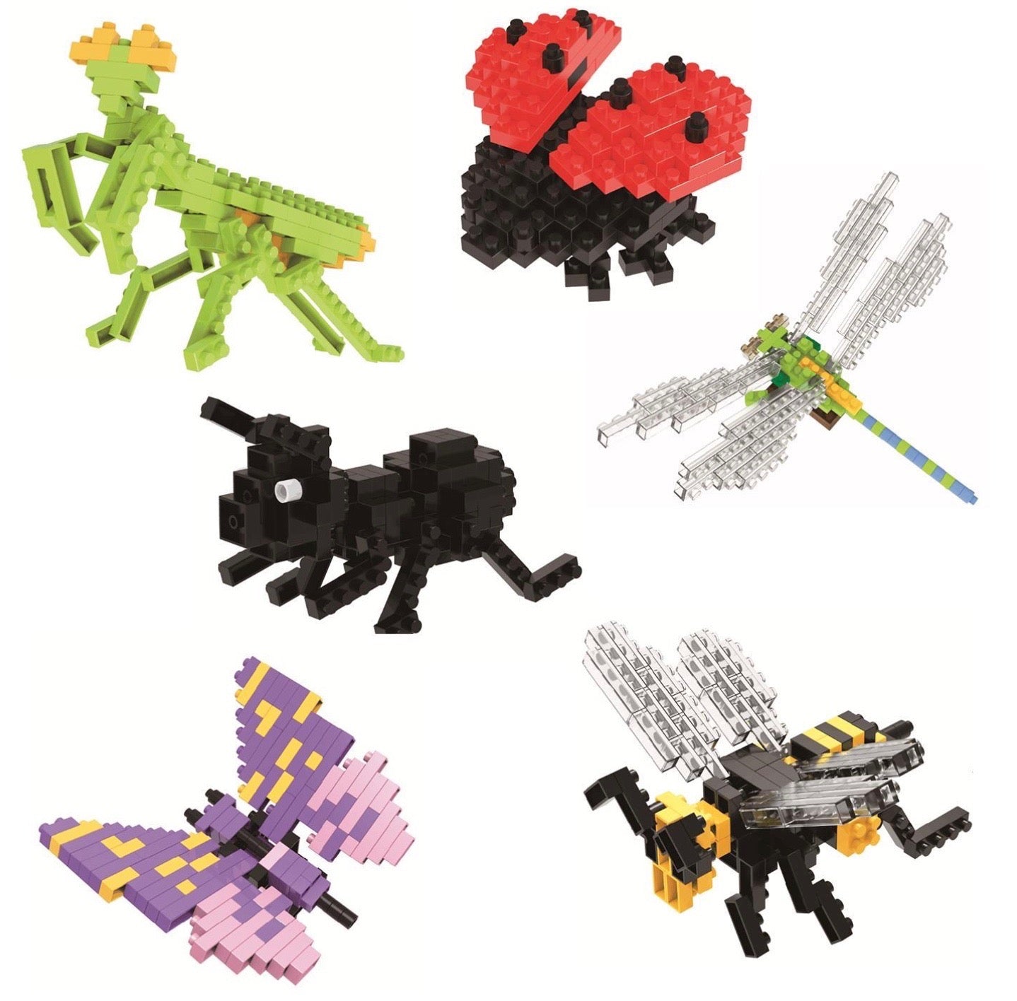 Insect Building Blocks